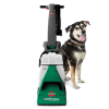 Bissell Big Green 64P8F - ABCD Clean 12